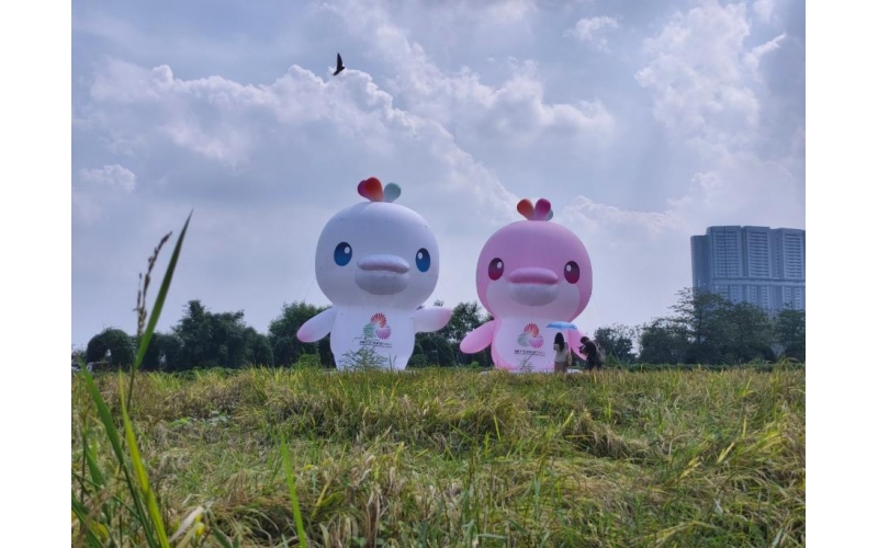 喜迎十五運 “中華白海豚”躍入“江心綠洲”